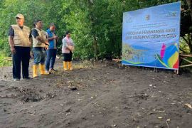 Hari Bumi 2026, PLN tanam 4.000 bibit mangrove di Sugian Lombok Timur