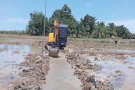 Pasaman Barat pacu pengerjaan infrastruktur pertanian terdampak bencana