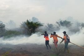 BPBD Sukamara sebut karhutla lebih terkendali