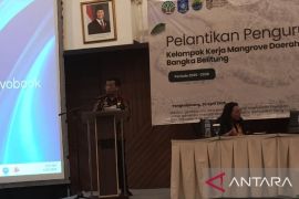 Pemprov Babel kembangkan budi daya perikanan mangrove