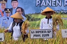 Harga gabah di atas HPP, Pemkab Ponorogo gelar panen raya