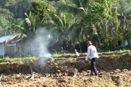 Petani di Padang mulai benahi lahan pertanian dari material galodo