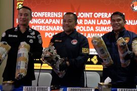 Polda Sumsel tangkap bandar pemilik 220 kg ganja di Empat Lawang