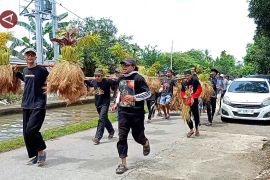 Katto Bokko, tradisi panen khas Maros yang dijaga turun-temurun