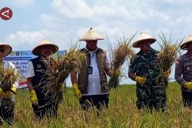 Bulog diproyeksikan bangun 100 gudang baru untuk tampung serapan beras