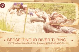 Berseluncur river tubing di tengah hamparan sawah Panembangan