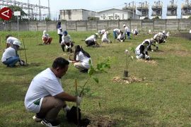 PLN Holtekamp tanam 220 pohon untuk peringati Hari Bumi 2026