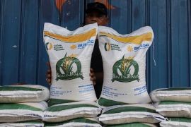 Perum Bulog salurkan 10.800 ton beras gratis di Kalbar