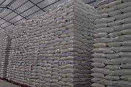 Produksi meningkat, cadangan beras pemerintah tembus 4,91 juta ton