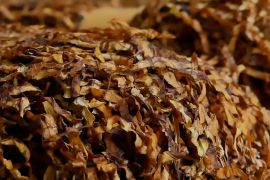 Pemkab Temanggung jembatani permintaan APTI tentang impor tembakau