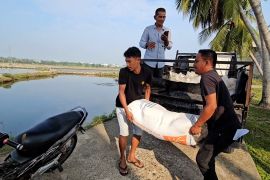 Kelompok tani penyintas bencana di Lhokseumawe terima bantuan benur
