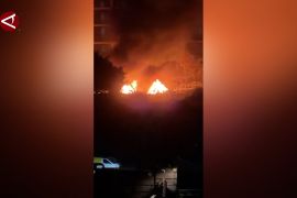 Tujuh orang tewas akibat Israel serang beberapa tempat di Beirut