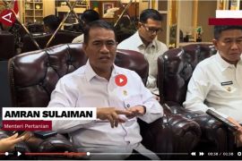 Mentan sebut cadangan pangan RI kuat untuk hadapi tekanan global - VIDEO