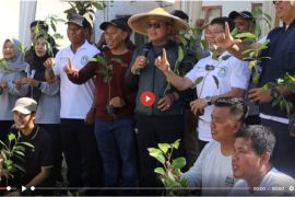 Dukung pelestarian alam, ANTARA tanam ratusan bibit pohon produktif - VIDEO