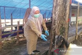 Sumenep perketat pengawasan dan aktivitas jual beli hewan kurban