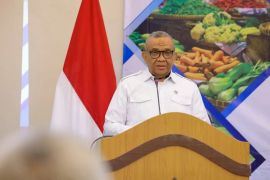 Wamenaker mengungkap hasil investigasi persoalan gaji-THR pekerja Hillcon