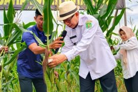Bupati Kutim Ardiansyah ajak kembangkan ekowisata dukung transformasi ekonomi