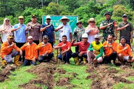 Sumbawa Barat perkuat agribisnis ternak sapi