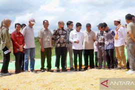 Tim visit Kementan-BUMN cek kesiapan lahan Pabrik Pakan Dompu