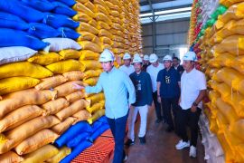 DPR RI cek stok beras di Bulog Kolaka guna jaga stabilitas harga