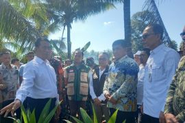 Mentan minta aparat hukum awasi ketat pengembangan kelapa di Sulut