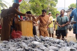 Bantuan 1,2 ton ikan untuk atasi stunting