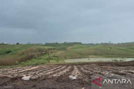 Bandung Barat siapkan strategi budi daya adaptif El Nino