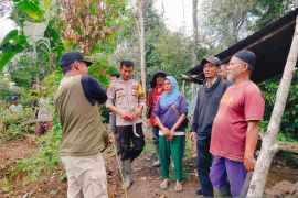Bertemu harimau sumatera, tim gabungan evakuasi satu keluarga di Agam (Video)