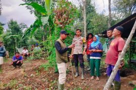 BKSDA evakuasi satu keluarga yang terjebak harimau sumatra di Agam