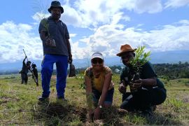 Pemprov Papua Pegunungan tanam 3.000 pohon pada peringatan Hardiknas 2026