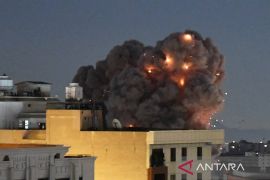 Waka parlemen Iran sebut Selat Hormuz 'bom atomnya' Iran