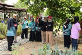 PKK Kukar gerakkan kaum ibu wujudkan ketahanan pangan keluarga