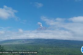 Minggu pagi Semeru erupsi dengan tinggi letusan capai 900 meter