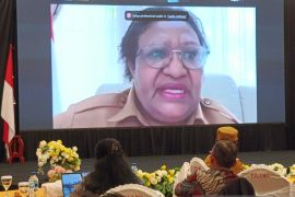 Kemendagri harap program Indonesia emas diterjemahkan Pemprov Papua Pegunungan dengan baik