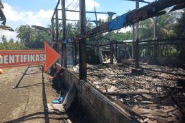 Kandang DOC di Suralaga Terbakar, 9.500 ayam mati