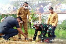Kodim 0909/KTM tanam 1.150 bibit pohon endemik Kalimantan