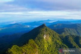Pemkab HST pastikan belum ada keputusan resmi penutupan permanen Gunung Halau-Halau