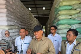 Stok melimpah, legislator nilai beras Bulog berkualitas