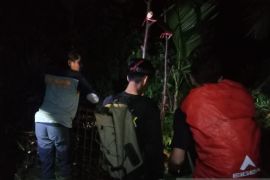 BKSDA Sumbar pasang kandang jebak evakuasi harimau di Agam