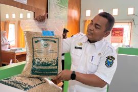 Pemkab Batang Hari terima bantuan 148,6 ton benih padi