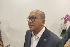 Jakarta waste-to-energy project estimated at US$1 billion: Danantara