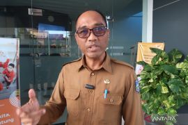 NTB mendorong regenerasi petani lewat budidaya cabe masuk sekolah