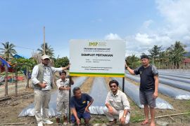 Ini upaya IMIP perkuat kemandirian ekonomi petani lokal