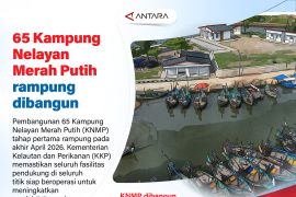 65 Kampung Nelayan Merah Putih rampung dibangun