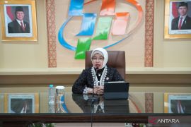 BPS sebut Indeks Ketimpangan Gender alami perbaikan di level 0,402