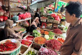 Harga pangan Selasa ini, cabai rawit Rp54.700/kg dan telur ayam Rp33.000/kg