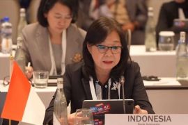 Deputi Gubernur BI tekankan kunci jaga ekonomi kawasan pada AFMGM+3