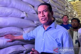 Pemerintah memperkuat intervensi jaga harga pangan di produsen-konsumen
