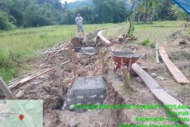 Pemkab: Perbaikan sawah terdampak bencana capai 53 persen di Pasaman Barat