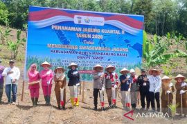 Polres Madina - SMGP kolaborasi dorong swasembada Jagung